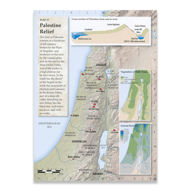 product image for Tim Dowley Student Bible Atlas